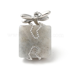 Природные подвески лабрадорита&nbsp;G-G870-13P-05