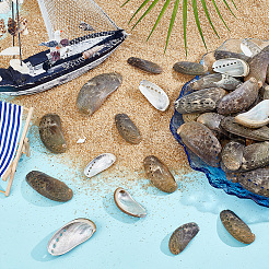 500г натуральной оболочки&nbsp;SSHEL-PH0001-37