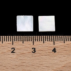 Белая раковина кабошонов&nbsp;SSHEL-I007-11