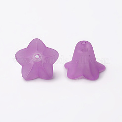 Прозрачные акриловые бусины&nbsp;X-PLF018-04