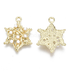 Aluminium Anhänger & Charms&nbsp;PALLOY-R116-06