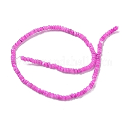 Окрашенные нити бусин из натуральных пресноводных ракушек&nbsp;BSHE-G039-07L