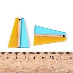 Прозрачные подвески из смолы и дерева RESI-T057-78