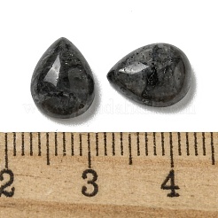 Natürliche Larvikit-Cabochons&nbsp;G-Q173-02C-05