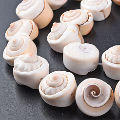 ナチュラルスパイラルシェルビーズ連売り  アンティークホワイト  15~18x8~15mm  穴：0.8mm  約11個/連  7.09インチ（18cm）&nbsp;X-SSHEL-N034-106