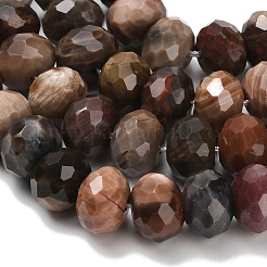 Природные окаменелое дерево бисер пряди G-C259-A06-8x12mm-01