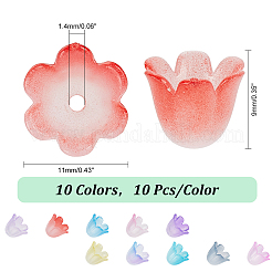 10цвет двухцветные акриловые колпачки для бусин MACR-PH0001-71