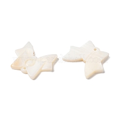 Природные подвески оболочки пресноводных SHEL-K006-31