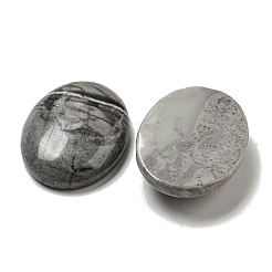Natürliche Picasso-Jaspis-Cabochons&nbsp;G-C115-01B-37