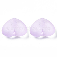 Прозрачные акриловые бусины&nbsp;X-TACR-S134-030