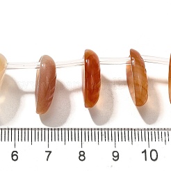 天然石赤瑪瑙ビーズ連売り  葉  トップ掘削  17~18x13~14x5~6mm  穴：0.9mm  約15個/連  8.07''（20.5センチメートル）&nbsp;G-P561-A03-01