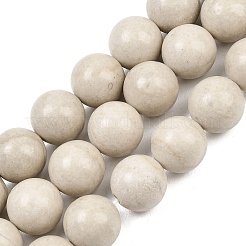 Природные окаменелое дерево бисер пряди&nbsp;G-L648-A03-16mm-01