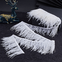 5м модная отделка из перьев страуса DIY-GF0009-45B-02