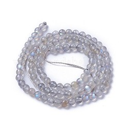 Природные лабрадорита бисер нитей G-F627-10-A