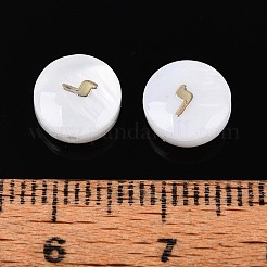 Perles de coquillages naturels d'eau douce&nbsp;BSHE-ZX007-03H