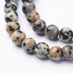 Natur Dalmatiner Jaspis Perle Stränge&nbsp;G-R345-6mm-51