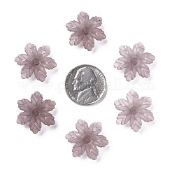 Прозрачные акриловые бусины&nbsp;MACR-S373-117-D