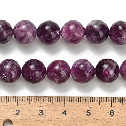 Натуральные лепидолитовые бусины G-L634-B01-10mm