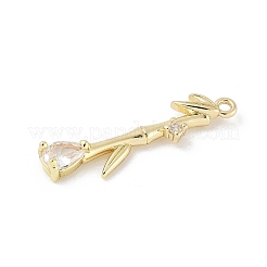 Pendentifs avec zircon cubiques à micro-pavés en laiton&nbsp;LS-KK-M326-13B-G