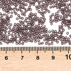 Бусины Миюки Делика&nbsp;X-SEED-J020-DB2405