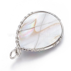 Ракушки морского ушка / ракушки пауа обернутые проволокой большие подвески&nbsp;SSHEL-L008-58P