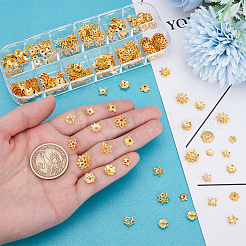 240 pièce de 12 styles de capuchons de perles en alliage&nbsp;FIND-UN0015-69
