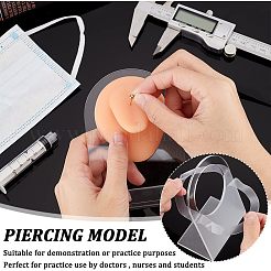 Мягкий силиконовый язычок гибкая модель дисплея части тела с акриловыми подставками&nbsp;ODIS-WH0002-23