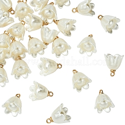 30 шт. подвески из непрозрачной смолы с имитацией жемчуга&nbsp;FIND-YW0009-02
