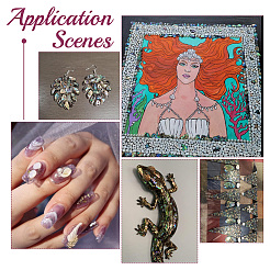 1 пакетик хлопьев раковины абалон кабошоны SHEL-GA0001-17B