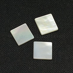 Белая раковина кабошонов SSHEL-I007-11