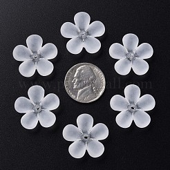 Прозрачные акриловые бусины MACR-S373-116-D01