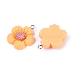 Pendentifs en résine&nbsp;LS-RESI-C002-09