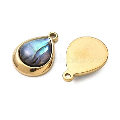 Natur Paua Muschel Anhänger&nbsp;STAS-G397-22G-02