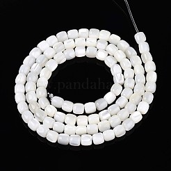 Нити бусин из натуральных трохоидных/трохус ракушек SSHEL-N040-08