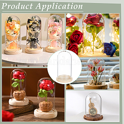 30 шт. купольная крышка из арочного стекла&nbsp;AJEW-BC0008-85B