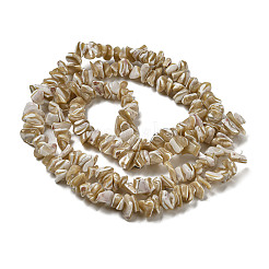 Fili di perline di conchiglia trochus naturale&nbsp;SSHEL-H072-09