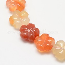 Natural Carnelian Bead Strands, Dyed & Heated, Flower, 14x6mm, Hole: 1mm, about 27pcs/strand, 16inch