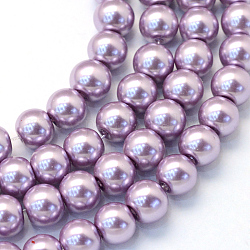 Chapelets de perle en verre peint de cuisson, nacré, ronde, lilas, 5~6mm, Trou: 1mm, Environ 186 pcs/chapelet, 31.4 pouce