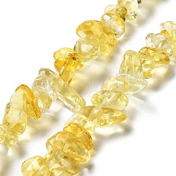 Handgemachte Murano Glas Perlen Stränge, Chip, Gelb, 2.5~8x6~15x5~8 mm, Bohrung: 0.9 mm, 31.10~31.50'' (79~80 cm)