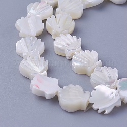 Chapelets de perles de coquillage, coquille Saint-Jacques, 9.5~10x9.2~9.5x2.3~4mm, Trou: 0.8mm, Environ 40 pcs/chapelet, 15.19 pouce (38.6 cm)