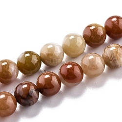 Chapelets de perles en bois pétrifié naturel, ronde, 10.5mm, Trou: 1.2mm, Environ 37 pcs/chapelet, 15.55'' (39.5 cm)
