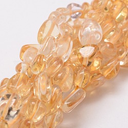 Citrine naturelle brins puce de perles, 6~12x5~6x4~5mm, Trou: 1mm, environ 15.7 pouce