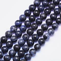 Natur Sodalith Perlen Stränge, Runde, 10 mm, Bohrung: 1 mm, ca. 38 Stk. / Strang, 15.55 Zoll