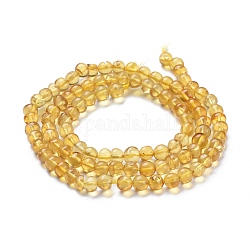 Perline ambra naturale fili, tondo, 5~5.5mm, Foro: 0.5 mm, circa 100pcs/filo, 18.31 pollice (46.5 cm)