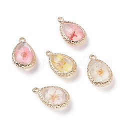 Glass Dried Flower Pendants, with Brass Findings, Teardrop, Golden, Mixed Color, 19x12x7mm, Hole: 1.4mm