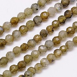 Natural Labradorite Beads Strands, Faceted, Round, Dark Khaki, 4mm, Hole: 1mm, about 90pcs/strand, 15.35 inch