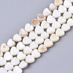 Coquille de trochid naturel / brins de perles de coquille de trocas, cœur, 6x5.5x2.5mm, Trou: 0.8mm, Environ 75 pcs/chapelet, 15.75 pouce (40 cm)