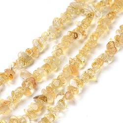 Citrine naturelle perles de puce brins, 4~7x2~3x1~2.5mm, Trou: 0.5mm, 31.50'' (80 cm)