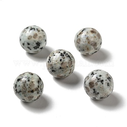 Perle di diaspro / kiwi di sesamo naturale, Senza Buco / undrilled, tondo, 25~25.5mm