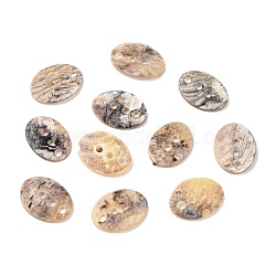 3-Hole Akoya Shell Buttons,  Oval, Mixed Color, 14.5~15x11~11.5x1.5~2mm, Hole: 1.6mm